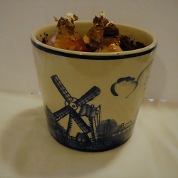 Dutch Design Paperwhite Bowl